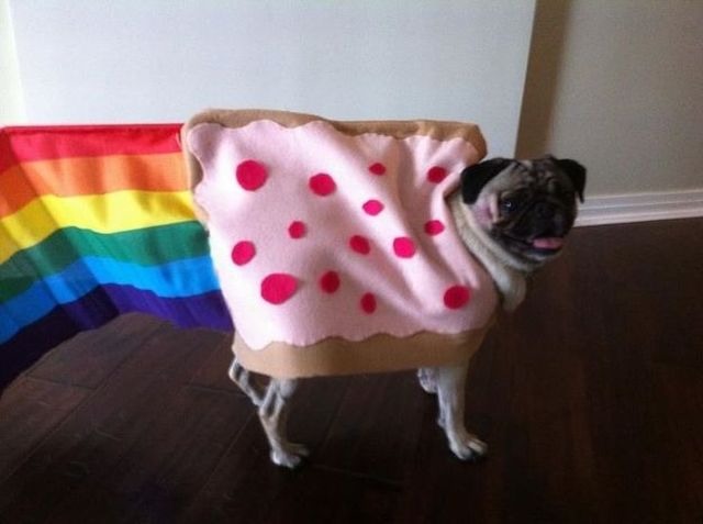 Bildschirmarbeiter - Picdump 04.11.2011