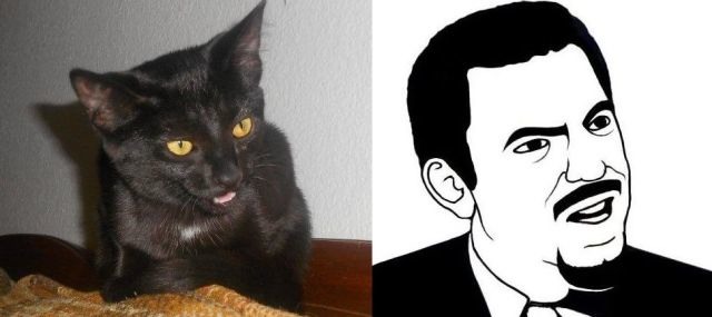 Bildschirmarbeiter - Picdump 04.11.2011