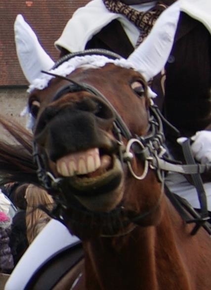 Bildschirmarbeiter - Picdump 11.11.2011