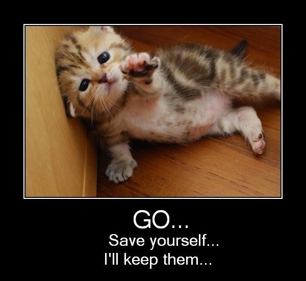 Bildschirmarbeiter - Picdump 11.11.2011