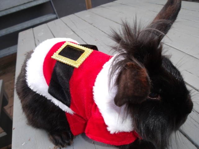 Bildschirmarbeiter - Picdump 11.11.2011