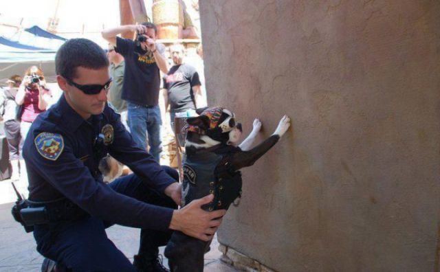 Bildschirmarbeiter - Picdump 11.11.2011