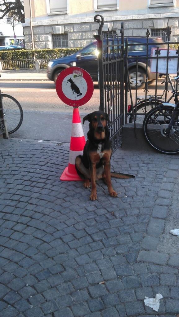 Bildschirmarbeiter - Picdump 25.11.2011