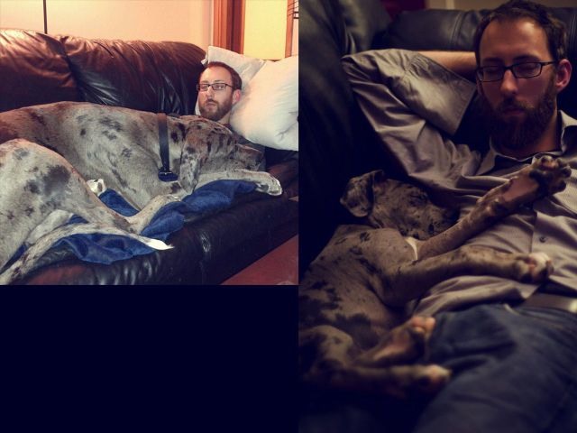 Bildschirmarbeiter - Picdump 25.11.2011