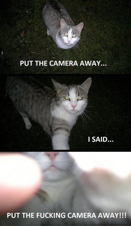 Bildschirmarbeiter - Picdump 02.12.2011