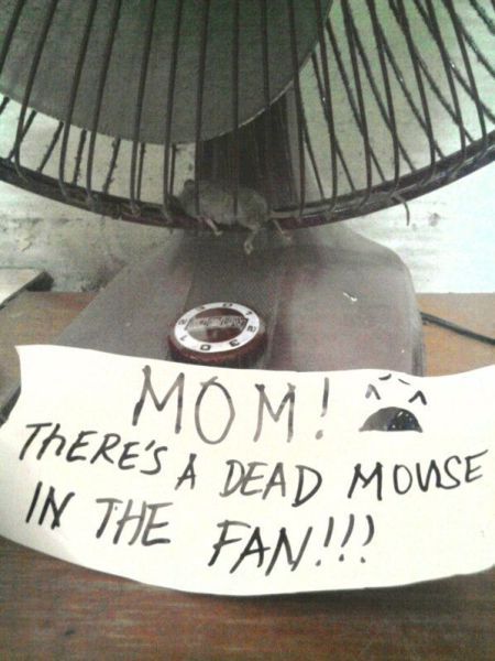 Bildschirmarbeiter - Picdump 02.12.2011