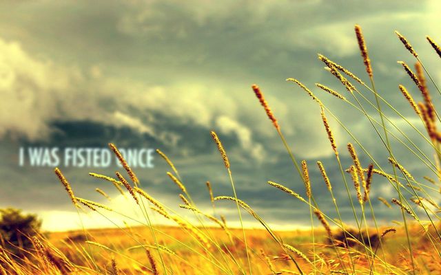 Bildschirmarbeiter - Picdump 02.12.2011