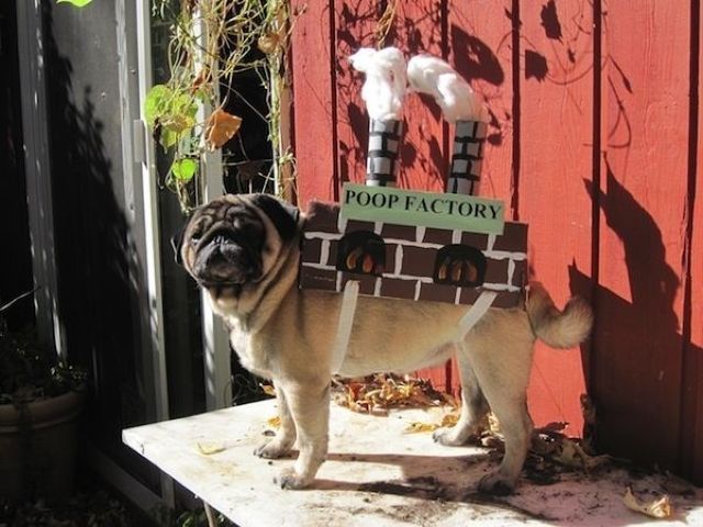 Bildschirmarbeiter - Picdump 02.12.2011