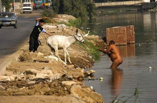 Bildschirmarbeiter - Picdump 02.12.2011