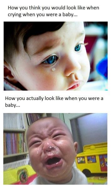 Bildschirmarbeiter - Picdump 02.12.2011