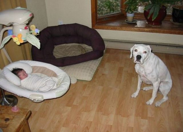 Bildschirmarbeiter - Picdump 02.12.2011