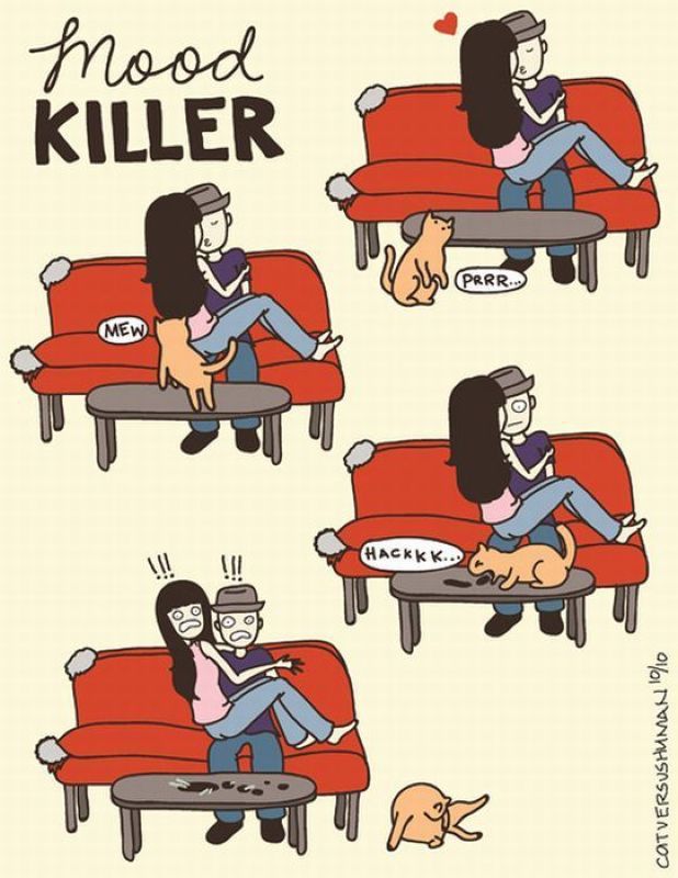 Bildschirmarbeiter - Picdump 02.12.2011