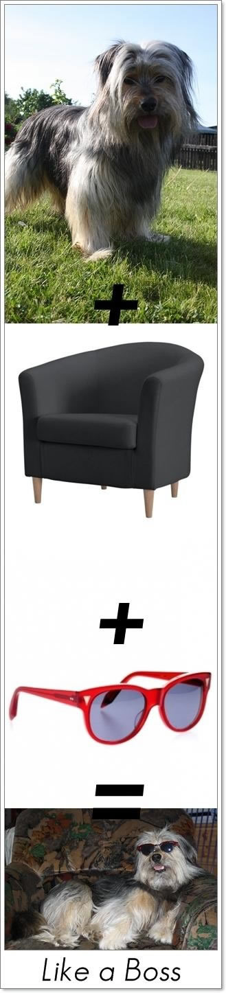 Bildschirmarbeiter - Picdump 09.12.2011