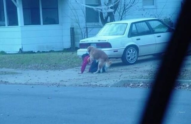 Bildschirmarbeiter - Picdump 09.12.2011