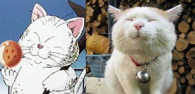 Bildschirmarbeiter - Picdump 09.12.2011