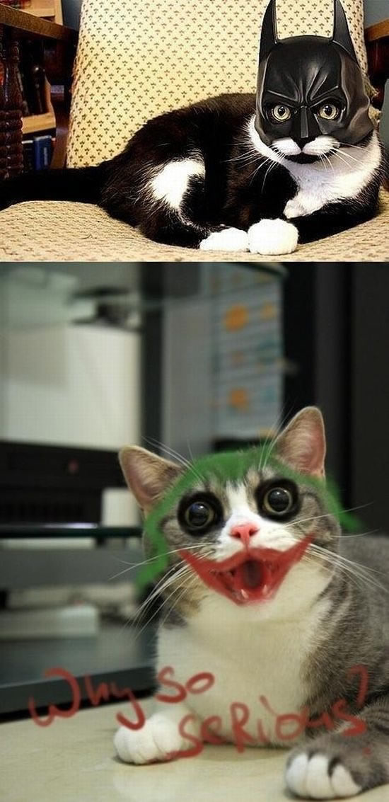 Bildschirmarbeiter - Picdump 09.12.2011