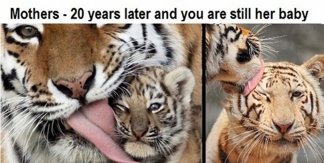 Bildschirmarbeiter - Picdump 09.12.2011