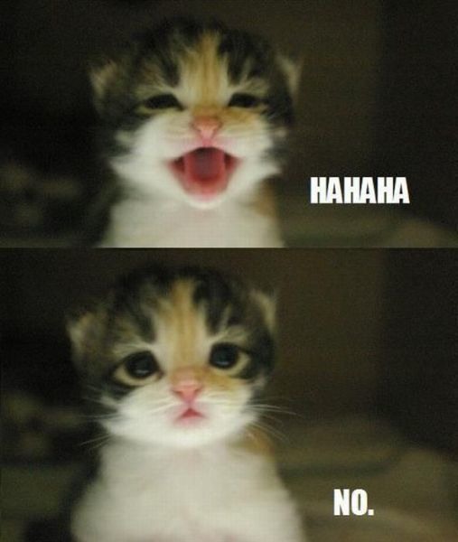 Bildschirmarbeiter - Picdump 09.12.2011