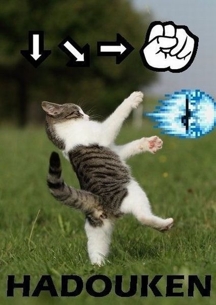 Bildschirmarbeiter - Picdump 09.12.2011