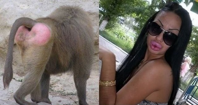 Bildschirmarbeiter - Picdump 09.12.2011