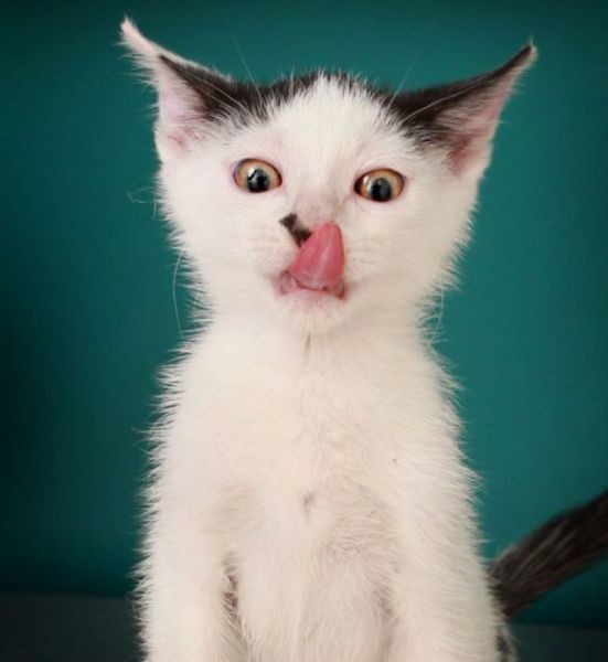 Bildschirmarbeiter - Picdump 16.12.2011