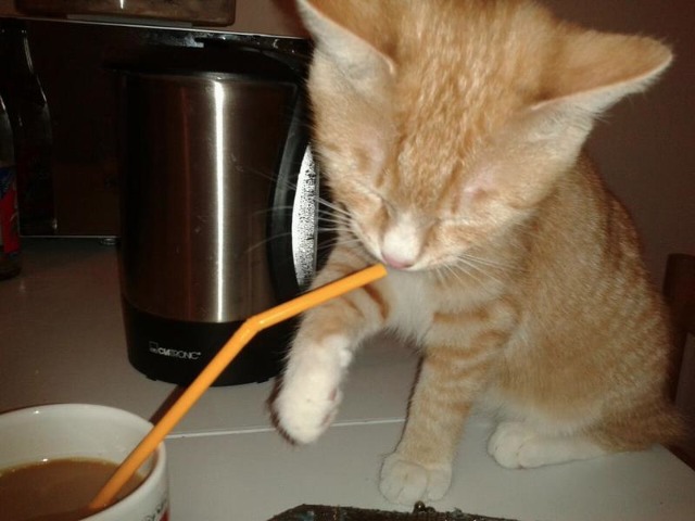 Bildschirmarbeiter - Picdump 16.12.2011