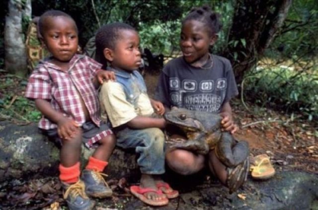 Bildschirmarbeiter - Picdump 16.12.2011