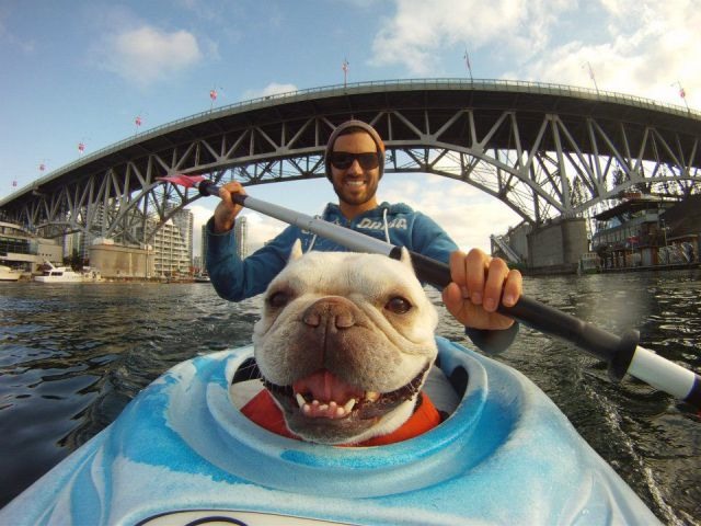 Bildschirmarbeiter - Picdump 16.12.2011