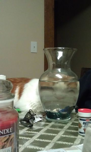 Bildschirmarbeiter - Picdump 23.12.2011