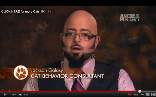 Bildschirmarbeiter - Picdump 23.12.2011