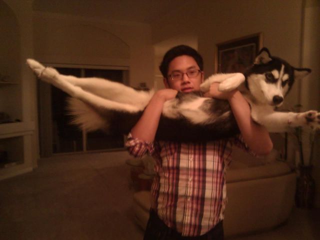 Bildschirmarbeiter - Picdump 23.12.2011