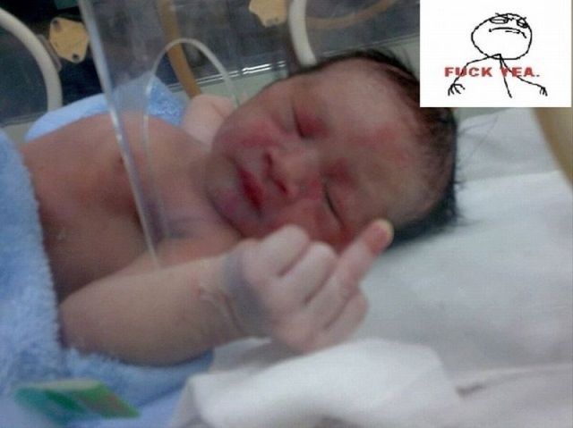 Bildschirmarbeiter - Picdump 23.12.2011