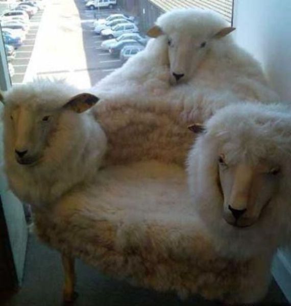 Bildschirmarbeiter - Picdump 23.12.2011