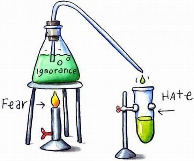 Bildschirmarbeiter - Picdump 23.12.2011