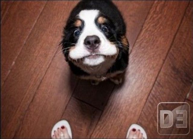 Bildschirmarbeiter - Picdump 23.12.2011