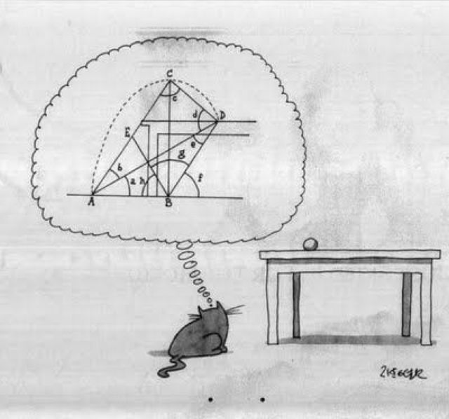 Bildschirmarbeiter - Picdump 23.12.2011