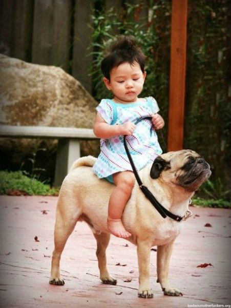 Bildschirmarbeiter - Picdump 23.12.2011