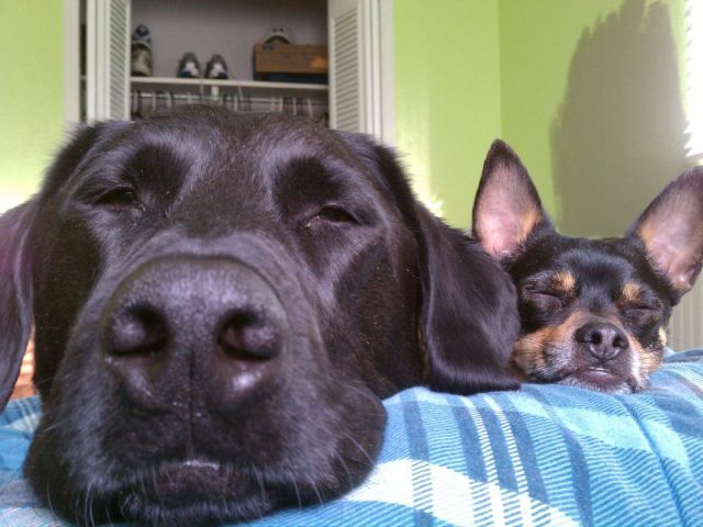 Bildschirmarbeiter - Picdump 23.12.2011