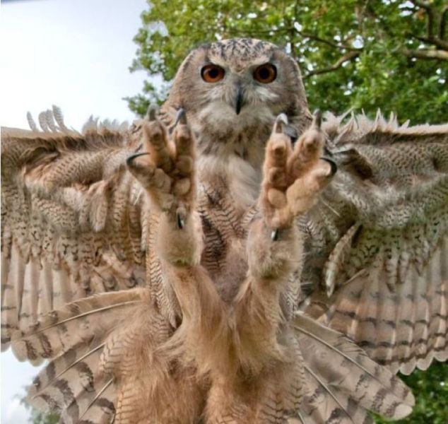 Bildschirmarbeiter - Picdump 23.12.2011