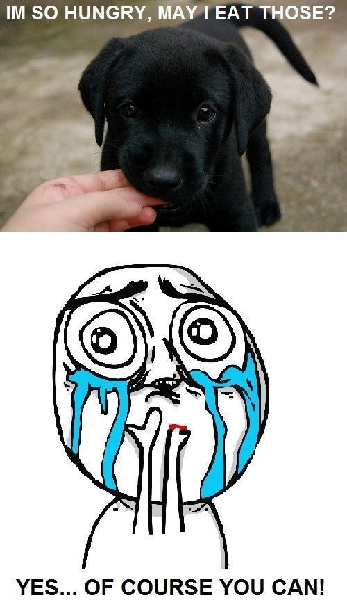 Bildschirmarbeiter - Picdump 23.12.2011