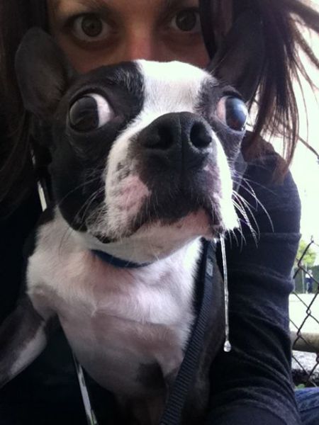 Bildschirmarbeiter - Picdump 30.12.2011