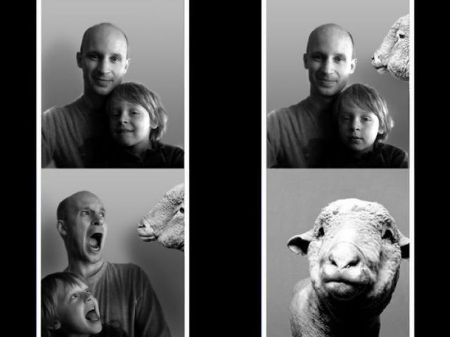 Bildschirmarbeiter - Picdump 06.01.2012