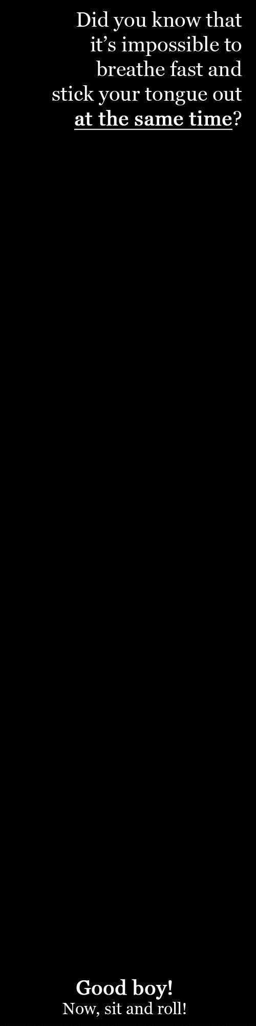 Bildschirmarbeiter - Picdump 06.01.2012