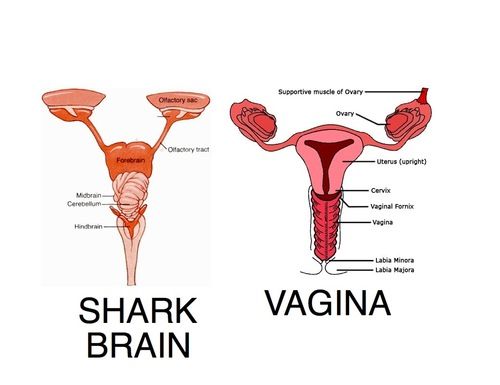 Bildschirmarbeiter - Picdump 06.01.2012