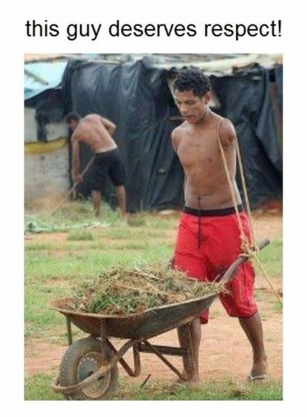 Bildschirmarbeiter - Picdump 06.01.2012