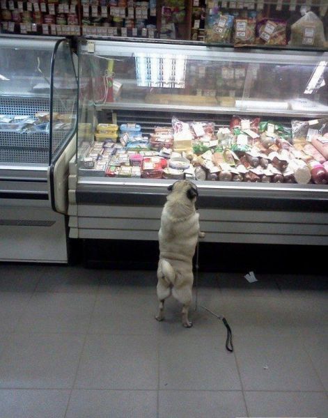 Bildschirmarbeiter - Picdump 06.01.2012