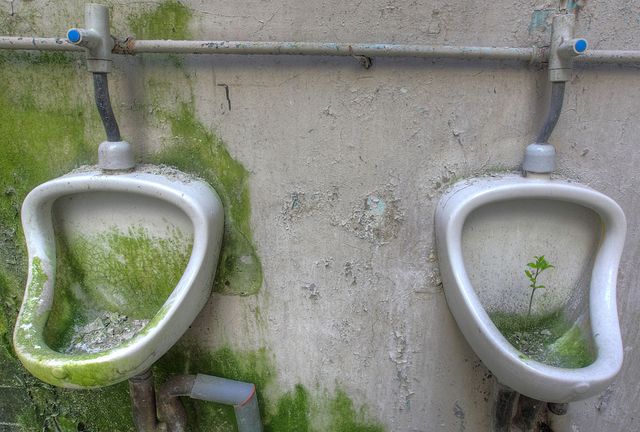 Bildschirmarbeiter - Picdump 06.01.2012