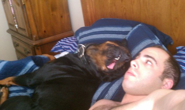 Bildschirmarbeiter - Picdump 06.01.2012