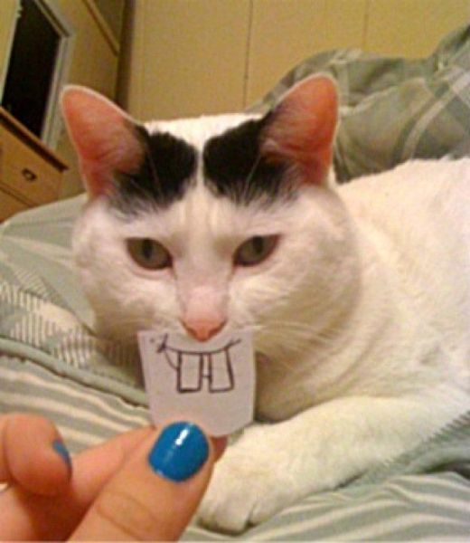 Bildschirmarbeiter - Picdump 20.01.2012