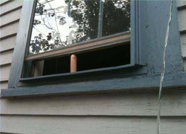 Bildschirmarbeiter - Picdump 20.01.2012